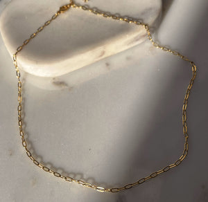 Fathima D | Gold Tarnish-Free | Paperclip Necklace